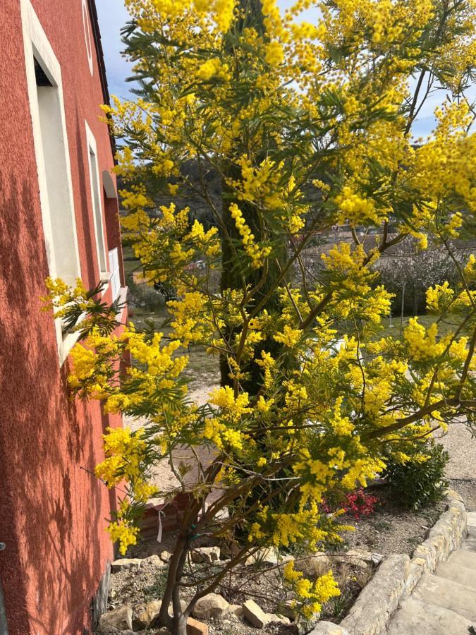 Le Gite Du Vigneron Lagorce  Εξωτερικό φωτογραφία